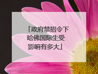 政府禁招令下 哈佛国际生受影响有多大